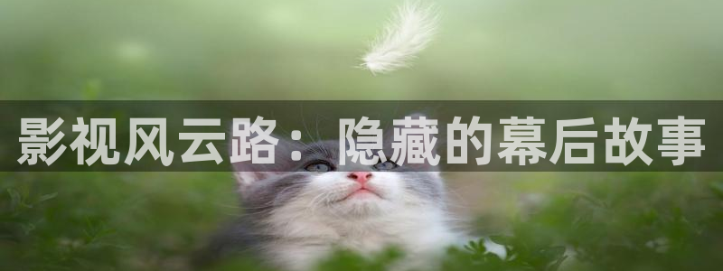 神马影院668影院kh2828狼色